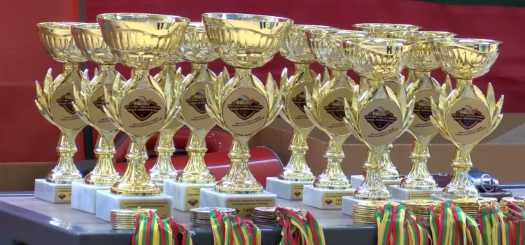 LSOK sportininkai Lietuvos specialiojo badmintono čempionate