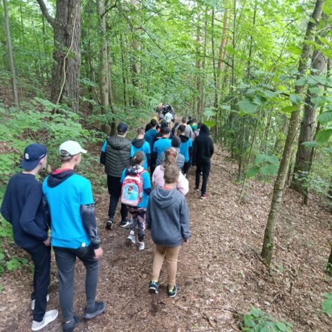 25cf450d-598d-4c56-a464-011487a84b9e