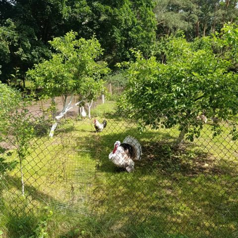 495071743_3575478576092865_5315962363204788782_n