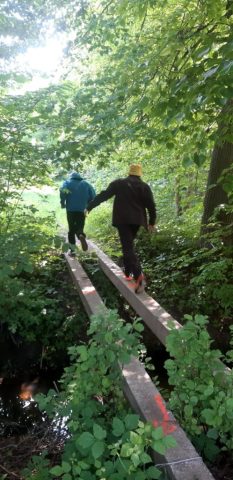 82ae8969-b8d9-488b-a0a7-780b5524de7c